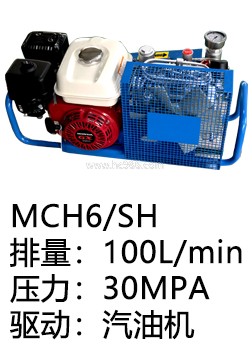 仿意大利MCH6/SH呼吸器充氣泵